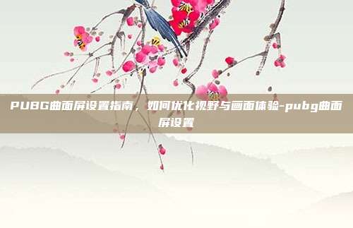 PUBG曲面屏设置指南,如何优化视野与画面体验-pubg曲面屏设置