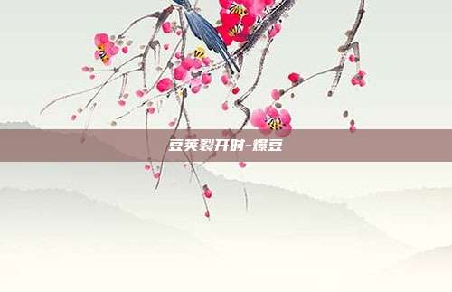 豆荚裂开时-爆豆