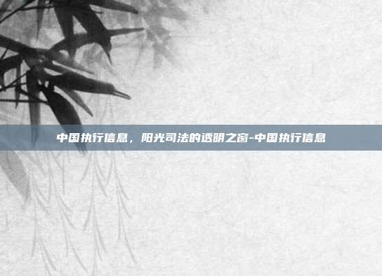 中国执行信息,阳光司法的透明之窗-中国执行信息