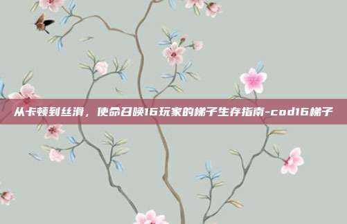 从卡顿到丝滑,使命召唤16玩家的梯子生存指南-cod16梯子