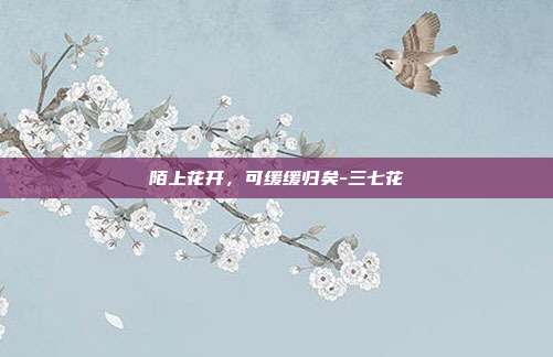 陌上花开，可缓缓归矣-三七花