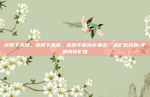 存得下天地,装得下热爱,告别手机内存焦虑,从扩容开始-手机内存扩容