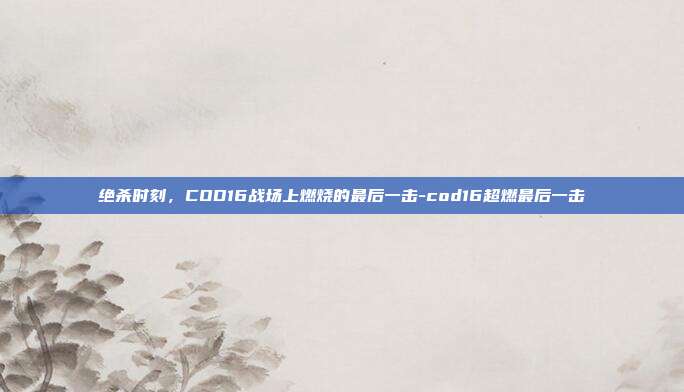 绝杀时刻,COD16战场上燃烧的最后一击-cod16超燃最后一击