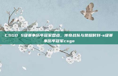 CSGO S级赛事历年冠军盘点,传奇战队与荣耀时刻-s级赛事历年冠军csgo