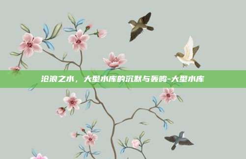 沧浪之水,大型水库的沉默与轰鸣-大型水库