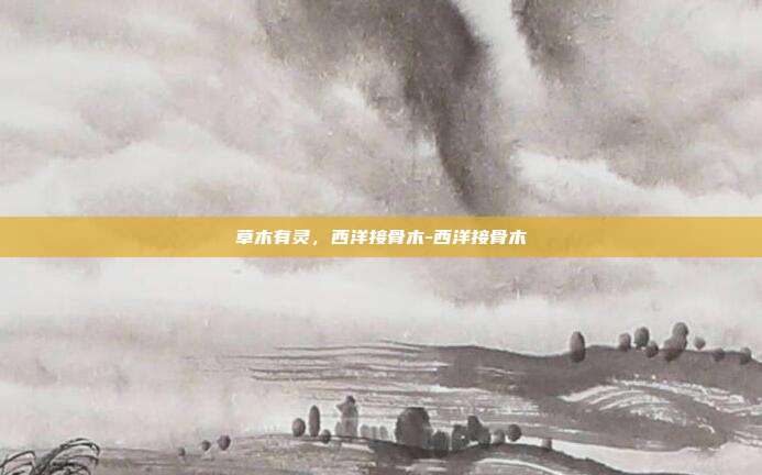 草木有灵,西洋接骨木-西洋接骨木