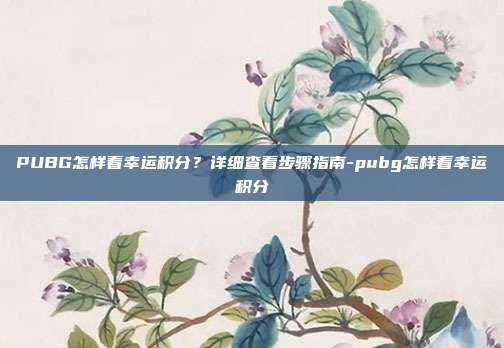 PUBG怎样看幸运积分？详细查看步骤指南-pubg怎样看幸运积分
