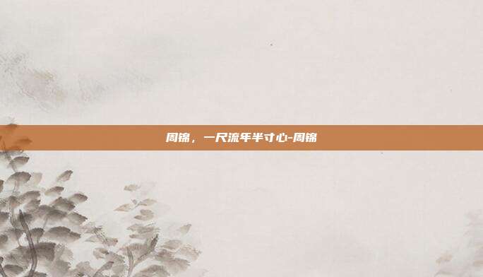 周锦，一尺流年半寸心-周锦