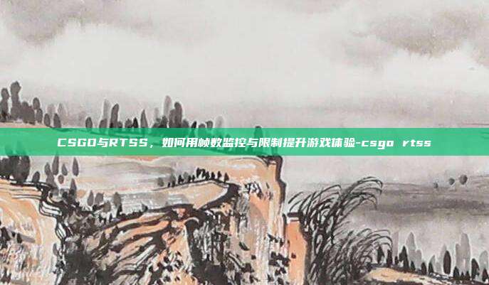 CSGO与RTSS，如何用帧数监控与限制提升游戏体验-csgo rtss