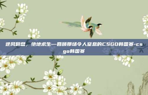 逆风翻盘,绝地求生—回顾那场令人窒息的CSGO韩国赛-csgo韩国赛