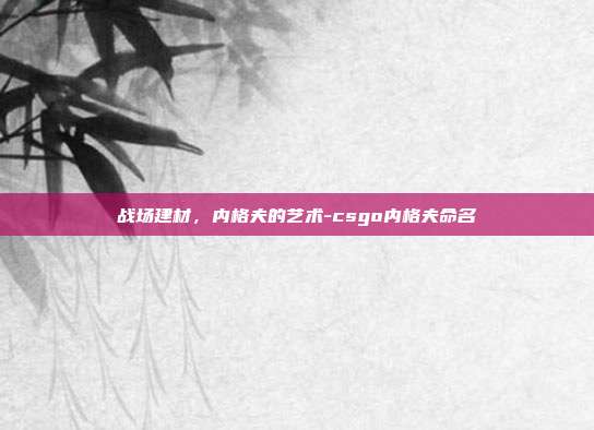 战场建材,内格夫的艺术-csgo内格夫命名