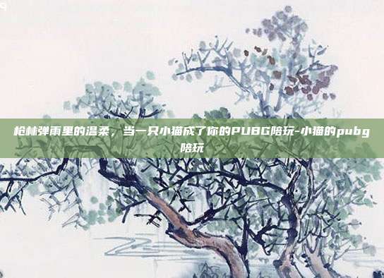 枪林弹雨里的温柔，当一只小猫成了你的PUBG陪玩-小猫的pubg陪玩