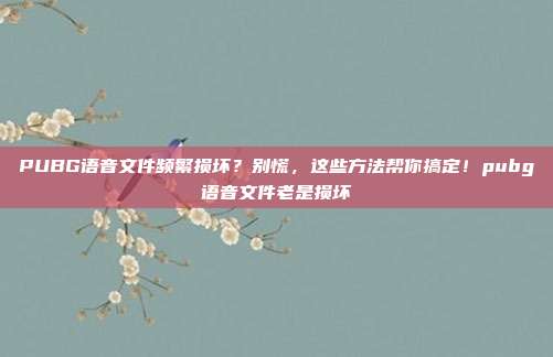 PUBG语音文件频繁损坏?别慌,这些方法帮你搞定!pubg语音文件老是损坏