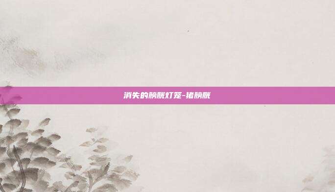 消失的膀胱灯笼-猪膀胱