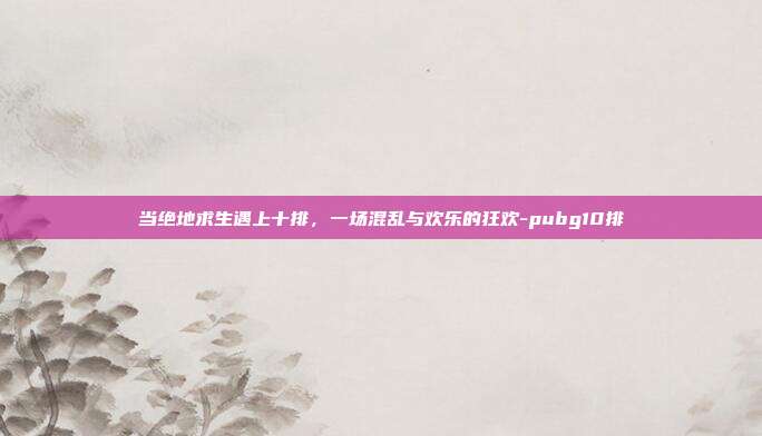 当绝地求生遇上十排,一场混乱与欢乐的狂欢-pubg10排