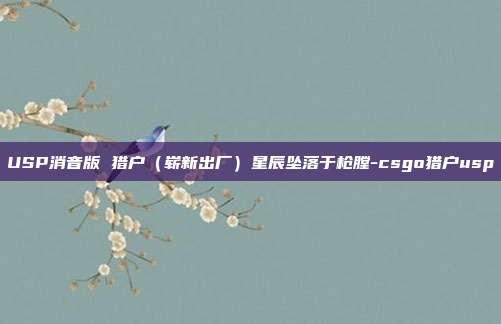 USP消音版 猎户（崭新出厂）星辰坠落于枪膛-csgo猎户usp