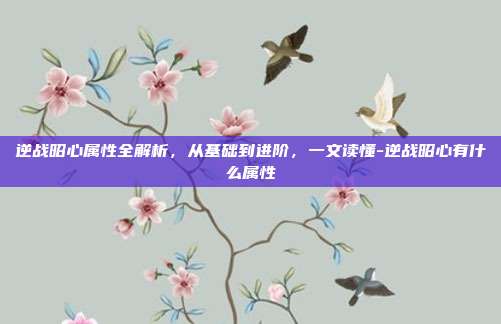逆战昭心属性全解析,从基础到进阶,一文读懂-逆战昭心有什么属性