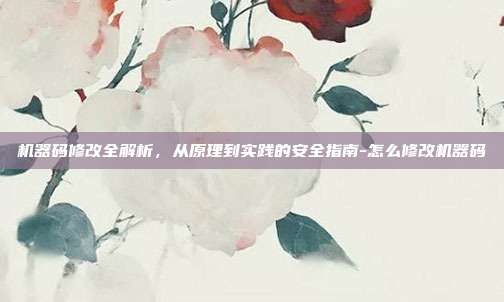 机器码修改全解析,从原理到实践的安全指南-怎么修改机器码