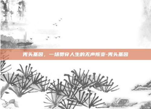 秃头基因,一场贯穿人生的无声叛变-秃头基因