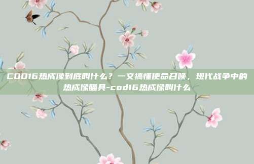 COD16热成像到底叫什么?一文搞懂使命召唤,现代战争中的热成像瞄具-cod16热成像叫什么