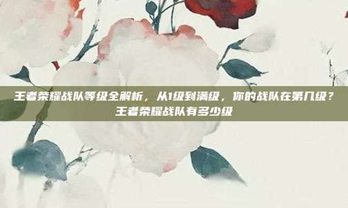 王者荣耀战队等级全解析,从1级到满级,你的战队在第几级?王者荣耀战队有多少级