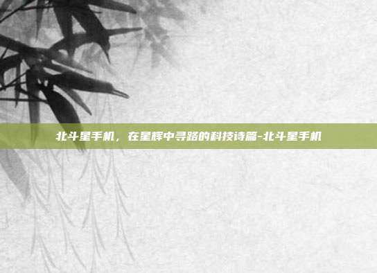 北斗星手机,在星辉中寻路的科技诗篇-北斗星手机