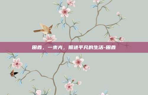 田鑫，一束光，照进平凡的生活-田鑫