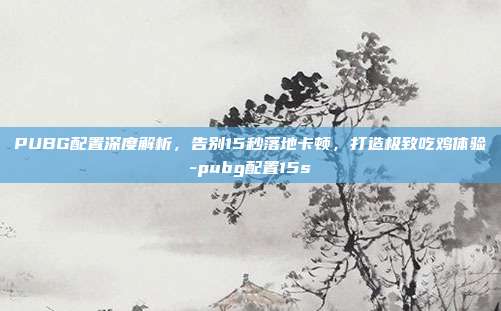 PUBG配置深度解析，告别15秒落地卡顿，打造极致吃鸡体验-pubg配置15s