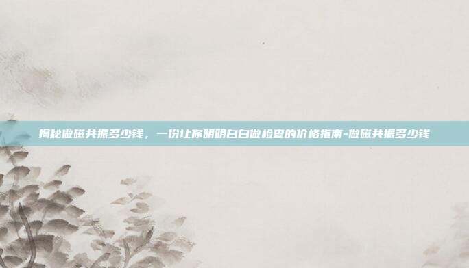 揭秘做磁共振多少钱,一份让你明明白白做检查的价格指南-做磁共振多少钱