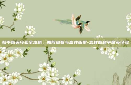 和平精英经验全攻略,如何查看与高效积累-怎样看和平精英经验