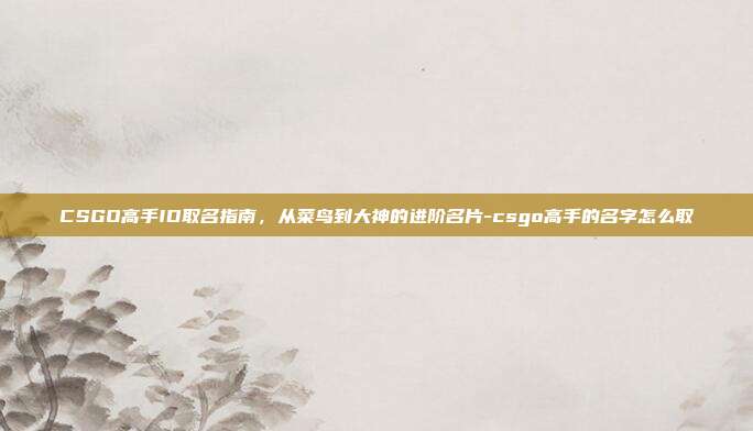 CSGO高手ID取名指南,从菜鸟到大神的进阶名片-csgo高手的名字怎么取