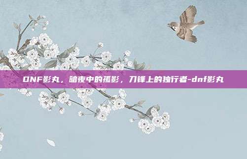 DNF影丸,暗夜中的孤影,刀锋上的独行者-dnf影丸
