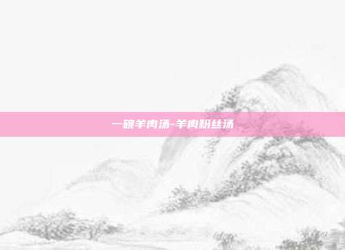 一碗羊肉汤-羊肉粉丝汤