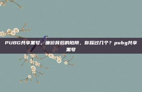 PUBG共享黑号,廉价背后的陷阱,你踩过几个?pubg共享黑号