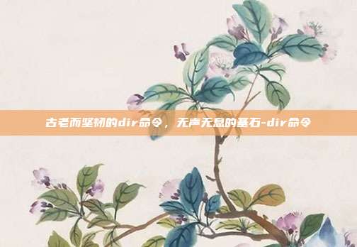 古老而坚韧的dir命令,无声无息的基石-dir命令