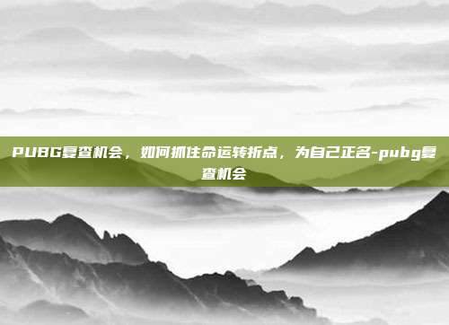 PUBG复查机会,如何抓住命运转折点,为自己正名-pubg复查机会