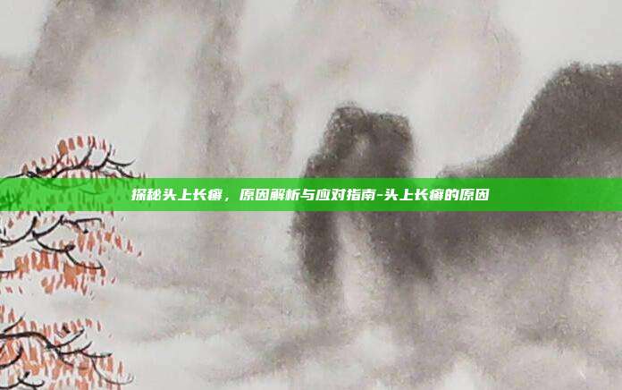探秘头上长癣，原因解析与应对指南-头上长癣的原因