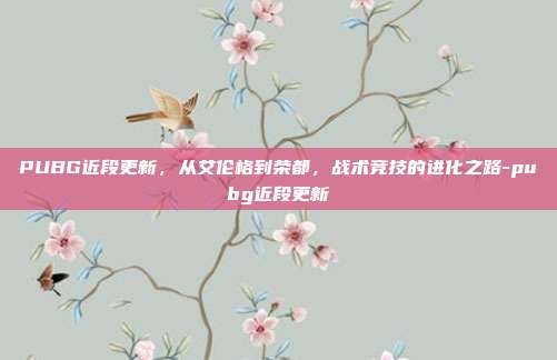 PUBG近段更新，从艾伦格到荣都，战术竞技的进化之路-pubg近段更新