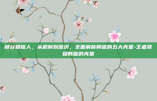 峡谷猎信人,从机制到意识,全面解析韩信的五大克星-王者荣耀韩信的克星