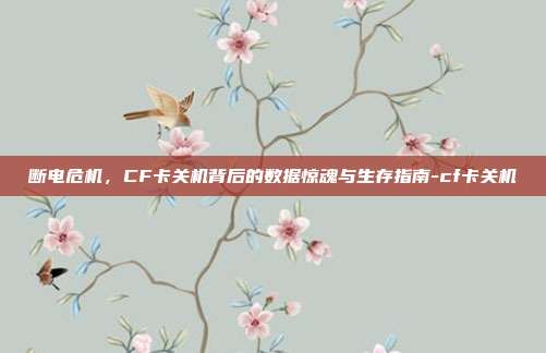 断电危机，CF卡关机背后的数据惊魂与生存指南-cf卡关机