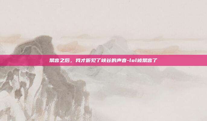 禁言之后，我才听见了峡谷的声音-lol被禁言了