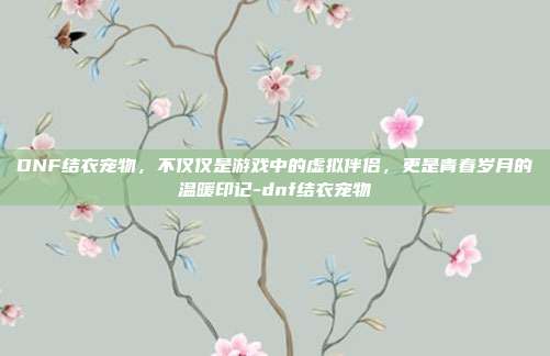DNF结衣宠物,不仅仅是游戏中的虚拟伴侣,更是青春岁月的温暖印记-dnf结衣宠物