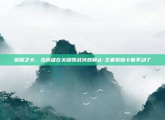 荣耀之卡,当英雄在关键团战突然静止-王者荣耀卡着不动了