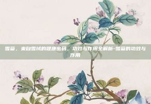 雪菊,来自雪域的健康密码,功效与作用全解析-雪菊的功效与作用