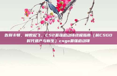 告别卡顿，帧数起飞，CS2最强启动项终极指南（前CSGO时代遗产与新生）csgo最强启动项