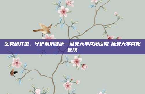 医教研并重,守护秦东健康—延安大学咸阳医院-延安大学咸阳医院