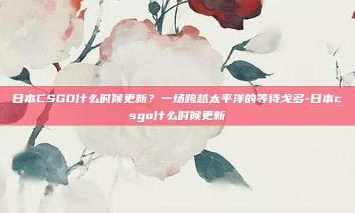 日本CSGO什么时候更新？一场跨越太平洋的等待戈多-日本csgo什么时候更新