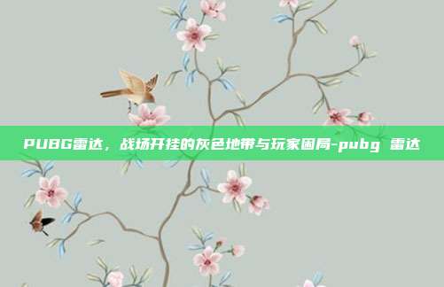 PUBG雷达，战场开挂的灰色地带与玩家困局-pubg 雷达