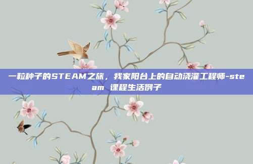 一粒种子的STEAM之旅，我家阳台上的自动浇灌工程师-steam 课程生活例子