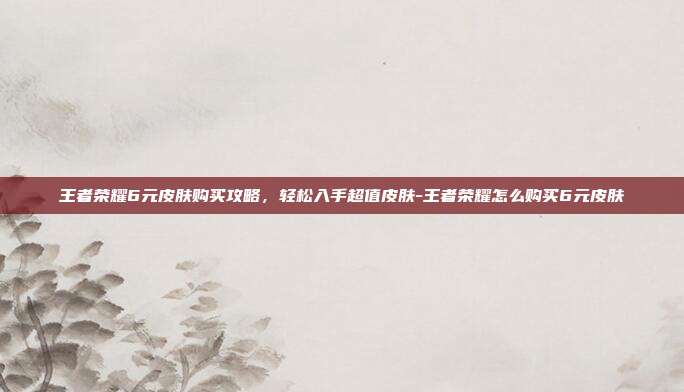 王者荣耀6元皮肤购买攻略,轻松入手超值皮肤-王者荣耀怎么购买6元皮肤